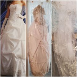 Wedding Gown / Veil 