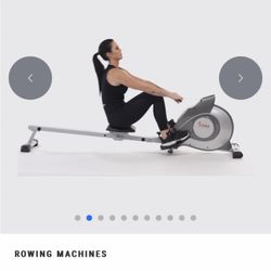 Sunny Health Fitness 