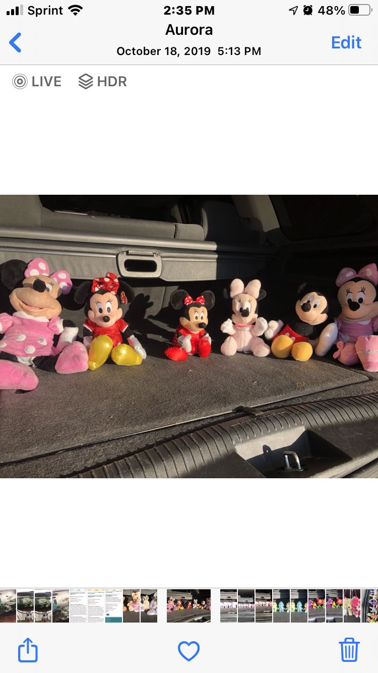 Minnie Mouse Stuffed Animals