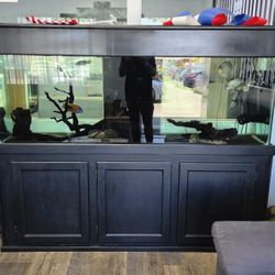 AQUARIUM 200 gallons Fresh Water With Wood Stand And All The Accessories 