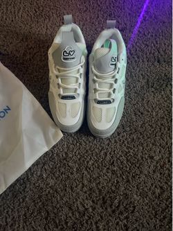 Grey Louis Vuitton skates
