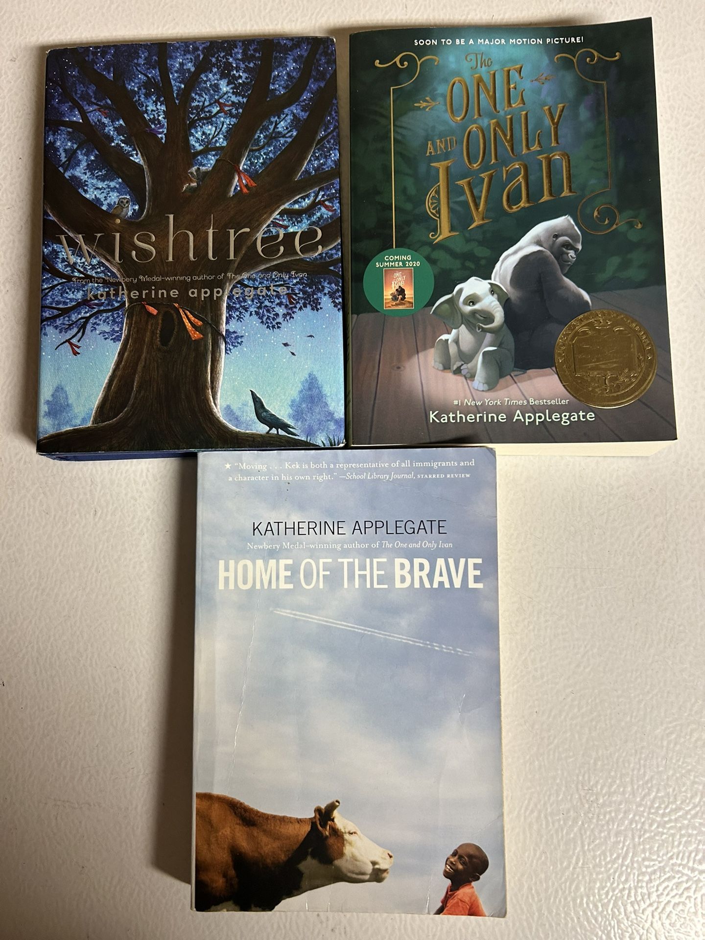 Katherine Applegate novels bundle of 3