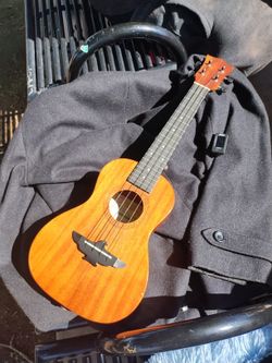 Aklot Ukulele With Tuner