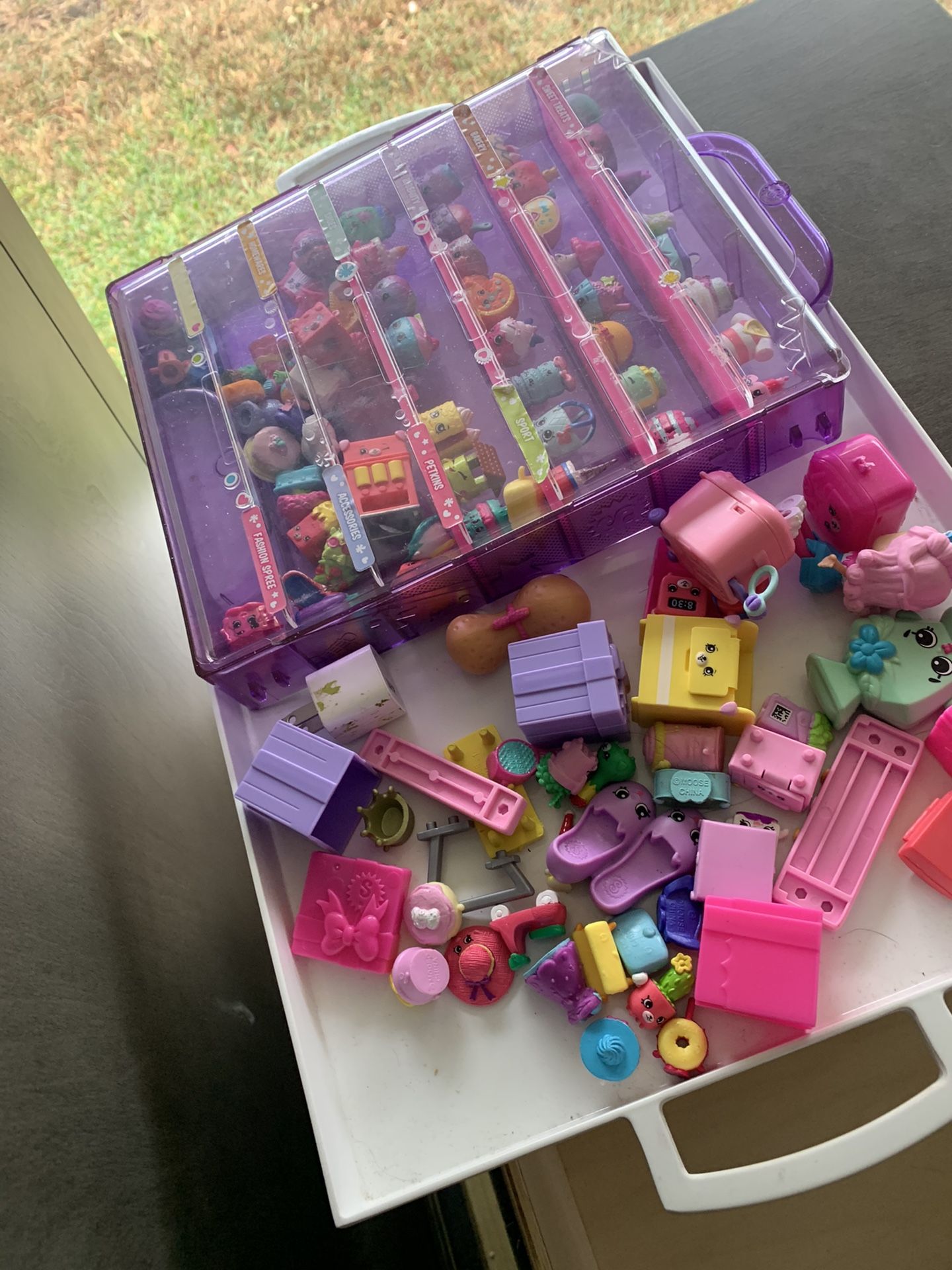 Shopkins case and figurings