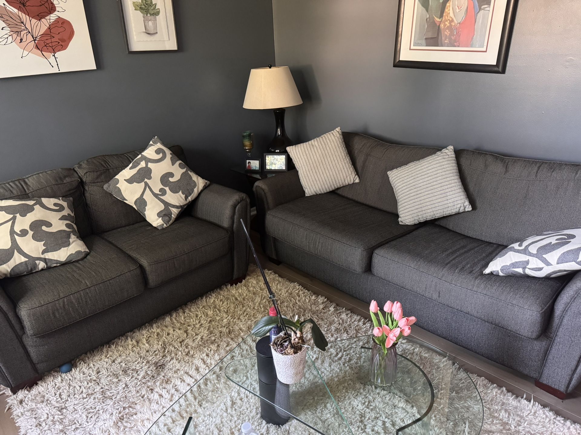Living Room Set (Hardly Used)