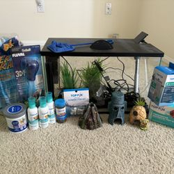 Fish Aquarium 