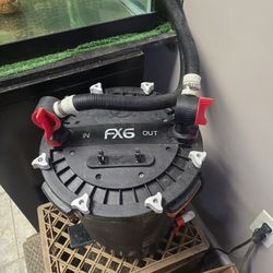 Turtle With Tank & Filter