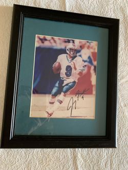 Jay Fiedler Autographed Print