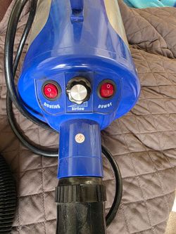 Dog blow dryer