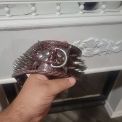Spike Dog Collar Xl