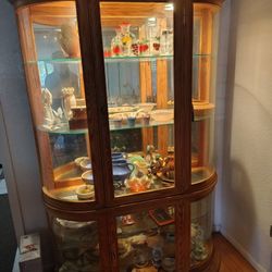 Glass Curio Cabinet 