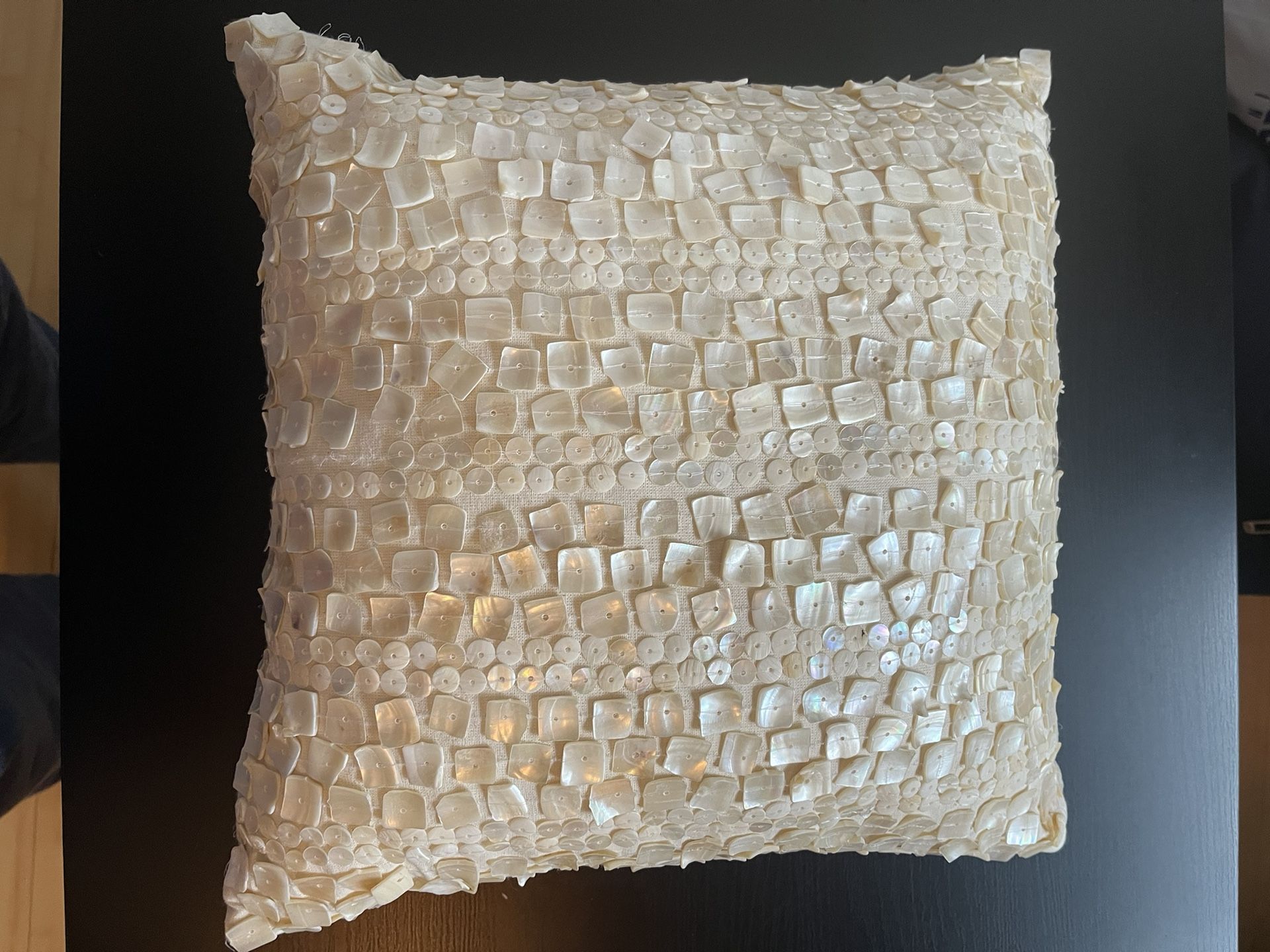 Decorative Pier One Import Pillow. 