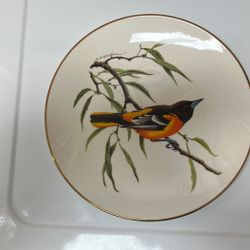 4 Avon bird plates