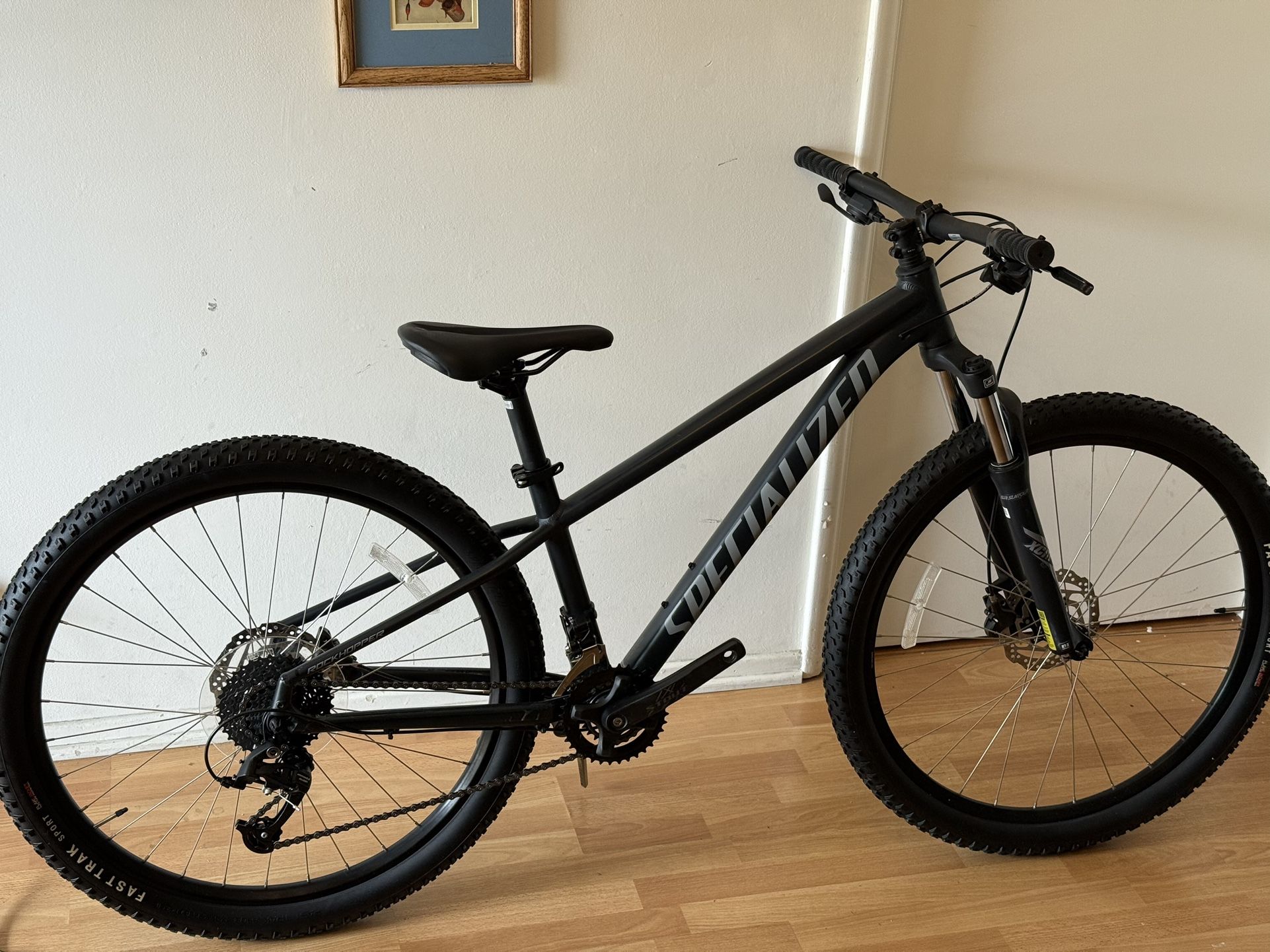 SPECIALIZED Mountain bike - excellent condition Pedals will be included. $480 firm. Local meet up only
