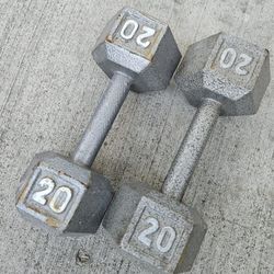 1 Set Of 20 Lbs Dumbbells