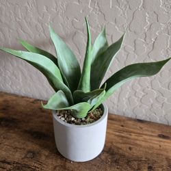 Small Faux Agave Plant - Realistic Succulent in Grey Ceramic Pot