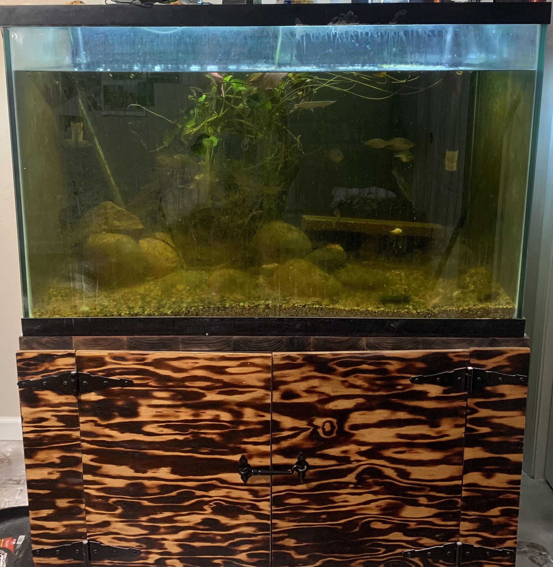 150 gallon fish tank/aquarium