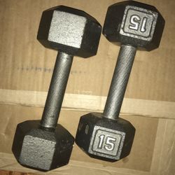 Two 15 Pound Metal Weights 