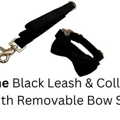 Pet Leash Collar Blk Set 