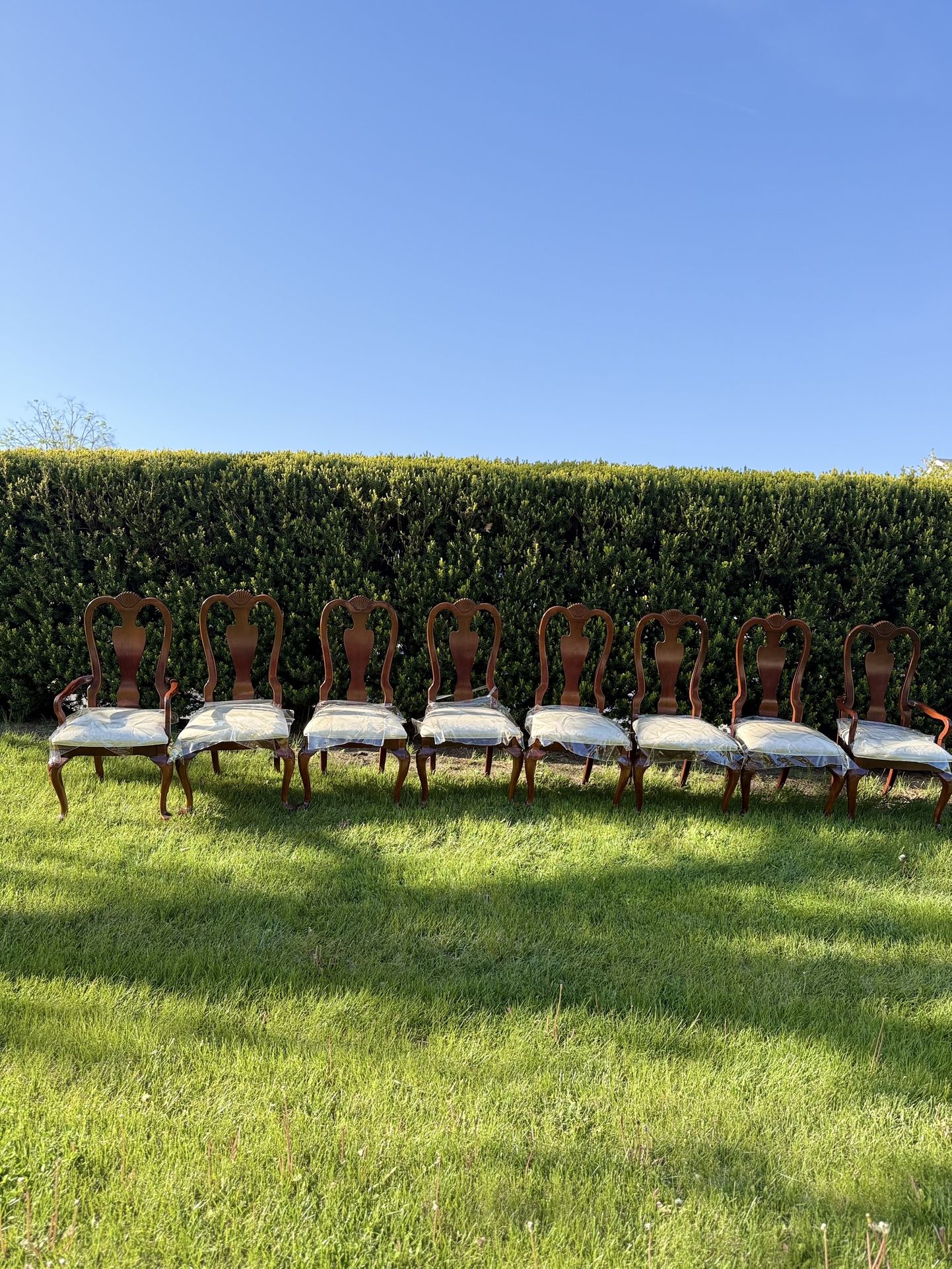 Set Of 8 Vintage Queen Anne Style Mahogany Dining Chairs- Elegant Carved Backs