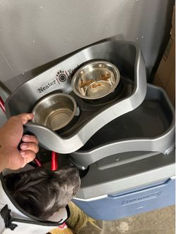 Dog Bowl