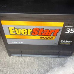 Everstart Maxx Bran NEW Batteries 