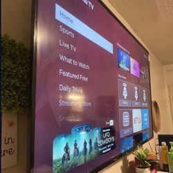 65inch And Wall Mount