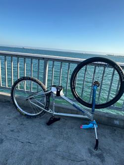 Throne 29er