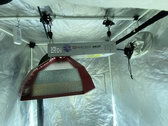 Eye Hortilux CMH 315 Grow Light System With Lamp, 277v