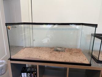 40 gallon aquarium 36x16x17