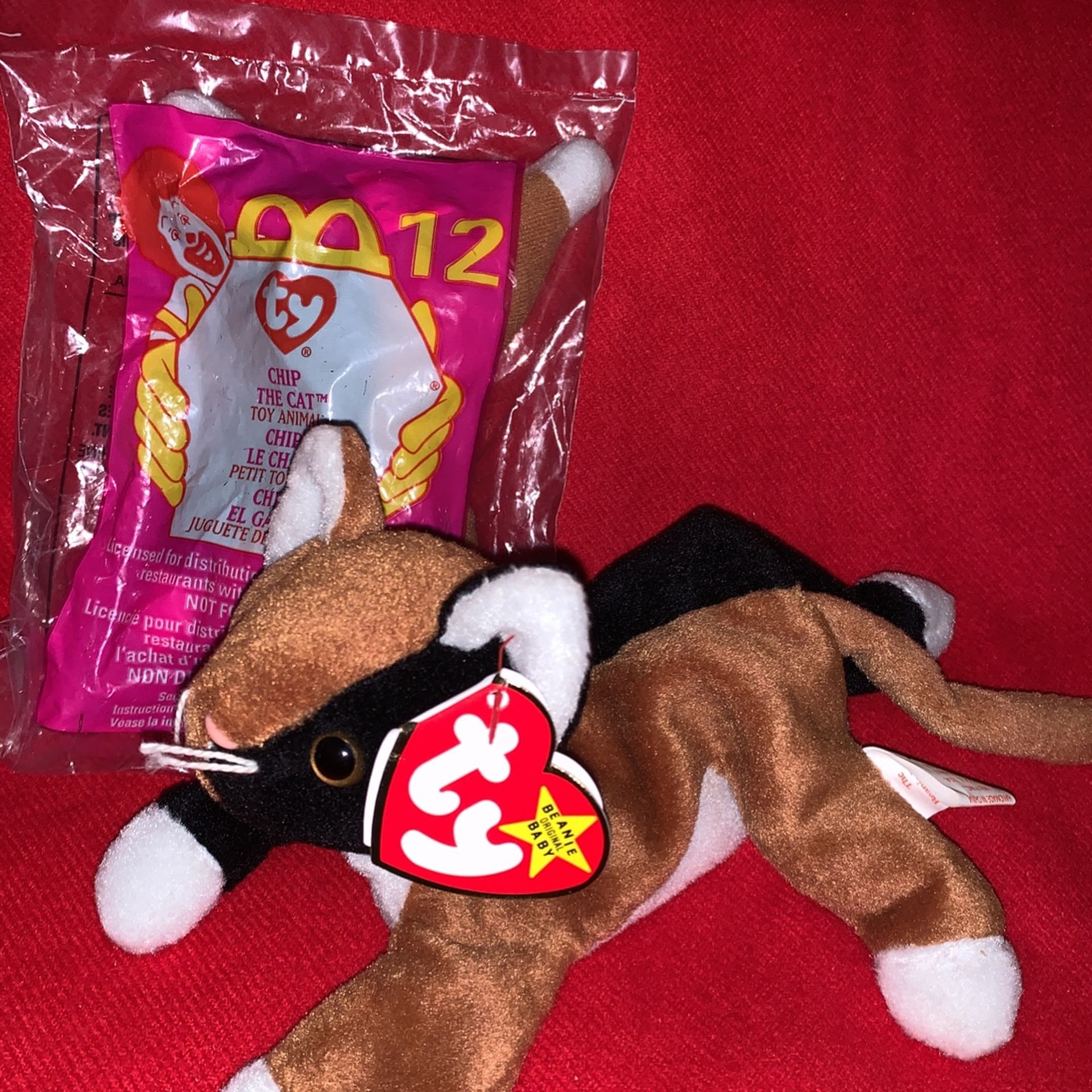 Ty CHIP CAT PVC Pellets and chip Teenie Beanie Baby Collection With Tag/tash
