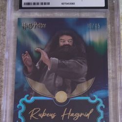 Harry Potter Gem Mint 10 Rubeus Hagrid 16/45 Script Art 2025 Harry Potter Kakawow Cosmos Aurora Auto 