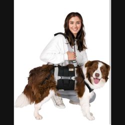 Dog harness 