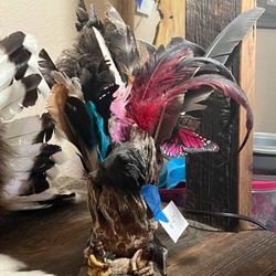 Native America Decor - Collection of Feathers / Holder