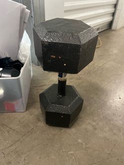 55 lbs