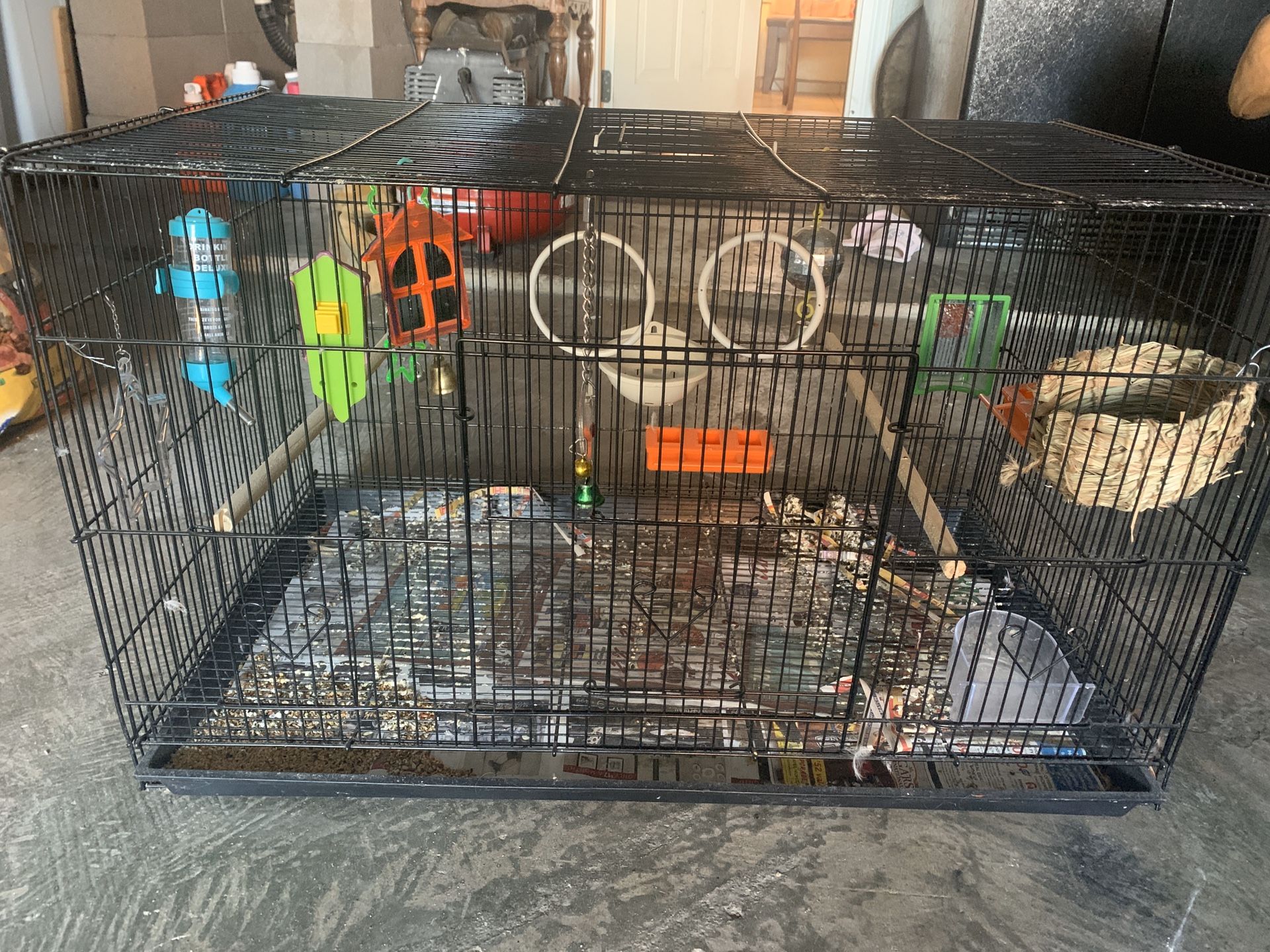 Bird, hamster cage