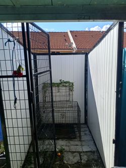 Big tall kennel aluminum walls and gate with stock lock only kenell for sale not the small cages Inside Only Big Kennel