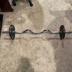 Gold’s Gym Curl Bar & 2 10lbs Weights 