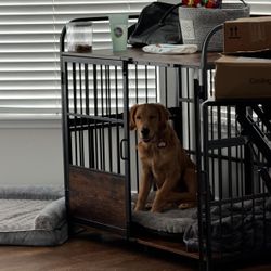Large Dog Crate 