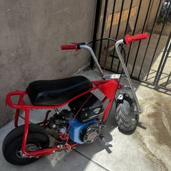 doodle bug mini bike 500 today 