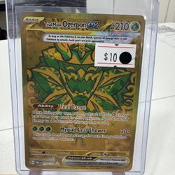 Teal Mask Ogerpon Ex