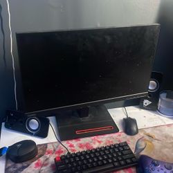 think vision monitor 