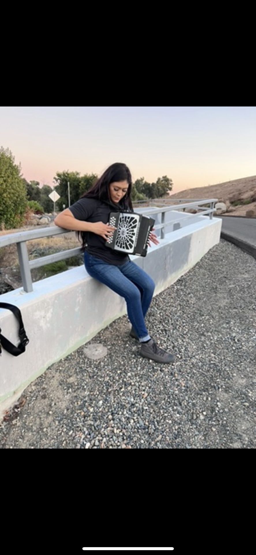 Acordeón Hohner tono Fa / Hohner Accordion 