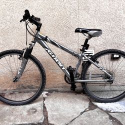 Giant Rincon Mountain Bike