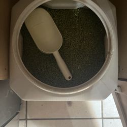 Rabbit Supplies In Search of a Good home