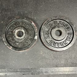 25lb Olympic Plates