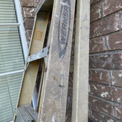 8 Feet Werner Ladder 