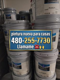 Paint