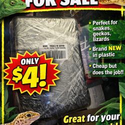 Reptile Box 