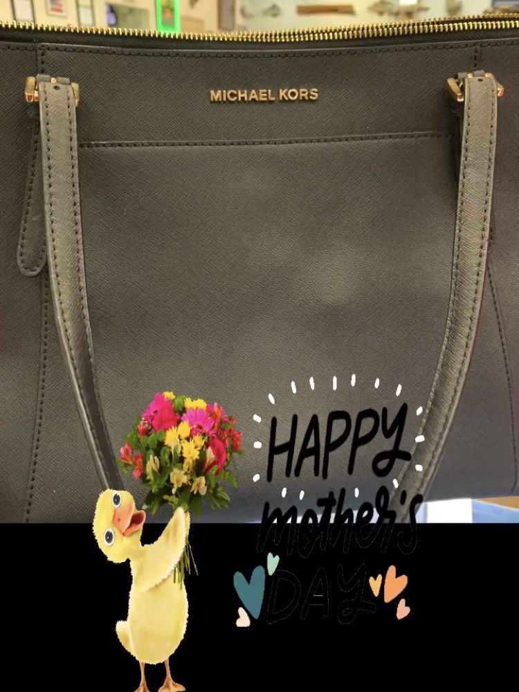 Michael Kors Purse